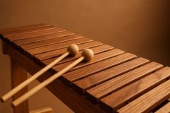 Análise detalhada do xilofone: história, construção, técnicas de execução e relevância na música contemporânea